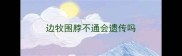 边牧围脖不通会遗传吗