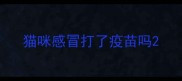 猫咪感冒打了疫苗吗