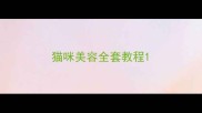 猫咪美容全套教程