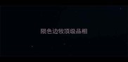 陨色边牧顶级品相