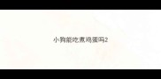 小狗能吃煮鸡蛋吗