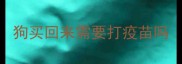 狗买回来需要打疫苗吗