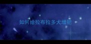 如何给拉布拉多犬增肥