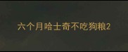 六个月哈士奇不吃狗粮