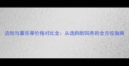 边牧与喜乐蒂价格对比全从选购到饲养的全方位指南
