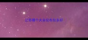 江苏哪个犬舍拉布拉多好