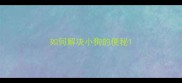 如何解决小狗的便秘
