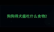狗狗得犬瘟吃什么食物