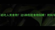 金毛犬能不能吃人类食物这5种危险食物别喂附科学喂养指南