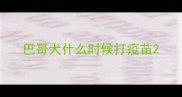 巴哥犬什么时候打疫苗