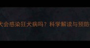 泰迪犬会感染狂犬病吗科学解读与预防指南