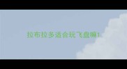 拉布拉多适合玩飞盘嘛