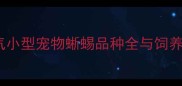 新手必看10种高人气小型宠物蜥蜴品种全与饲养指南附避坑手册
