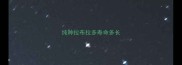 纯种拉布拉多寿命多长