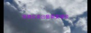 宠物买卖出售需要哪些