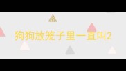 狗狗放笼子里一直叫