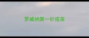 罗威纳第一针疫苗