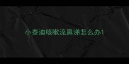 小泰迪咳嗽流鼻涕怎么办