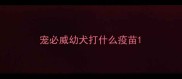 宠必威幼犬打什么疫苗