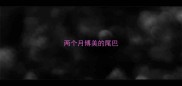 两个月博美的尾巴