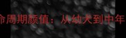 边境牧羊犬全生命周期颜值从幼犬到中年的科学养护指南