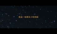 泰迪一顿喂多少粒狗粮