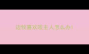 边牧喜欢咬主人怎么办