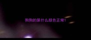 狗狗的屎什么颜色正常