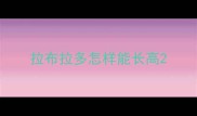 拉布拉多怎样能长高