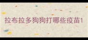 拉布拉多狗狗打哪些疫苗