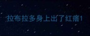 拉布拉多身上出了红瘩