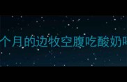三个月的边牧空腹吃酸奶吗