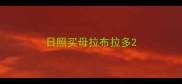 日照买母拉布拉多