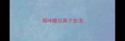 猫咪睡觉鼻子变浅