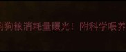 柯基月均狗粮消耗量曝光附科学喂养指南