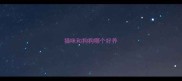 猫咪和狗狗哪个好养