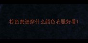 棕色泰迪穿什么颜色衣服好看