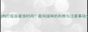 狗狗打疫苗最佳时间夜间接种的利弊与注意事项全