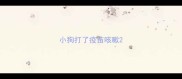 小狗打了疫苗咳嗽