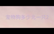 宠物狗多少元一只
