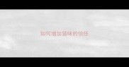 如何增加猫咪的信任