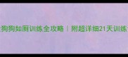 4个月大狗狗如厕训练全攻略附超详细21天训练计划表
