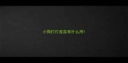 小狗打打疫苗有什么用