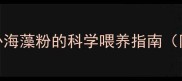 边境牧羊犬幼犬2月龄起补海藻粉的科学喂养指南附使用误区与效果实测