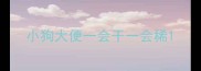 小狗大便一会干一会稀