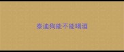 泰迪狗能不能喝酒