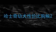 哈士奇幼犬性价比狗粮