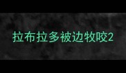 拉布拉多被边牧咬