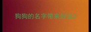 狗狗的名字带来好运