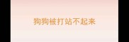 狗狗被打站不起来